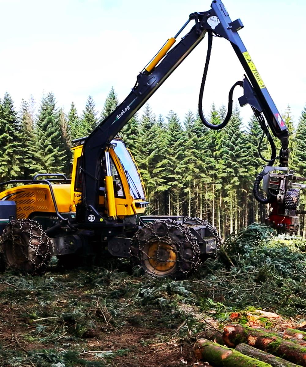 Travaux forestiers - Services