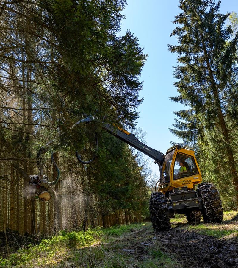 Holzhandlung Müller