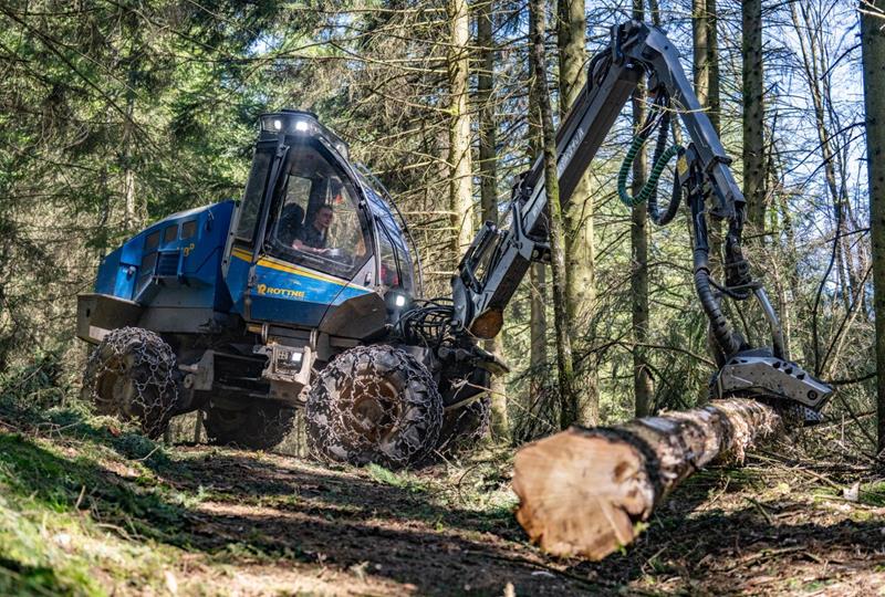 Vereal Wood steht für Qualität und Regionalität